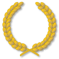 Emblem: Over 20 years of excellence.
